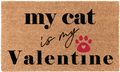 Cat Valentine