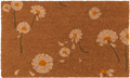 Daisy Flowers