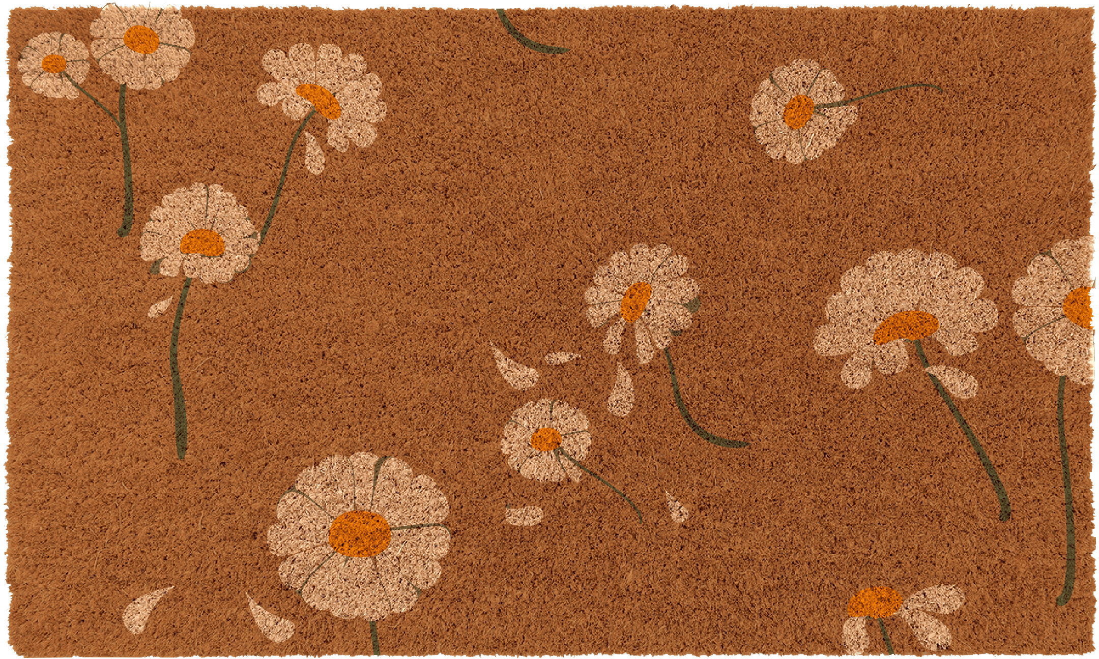 Daisy Flowers