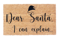 Dear Santa, I Can Explain..