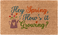 Hey Spring, How's it Growing?