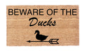 Beware Of The Ducks!