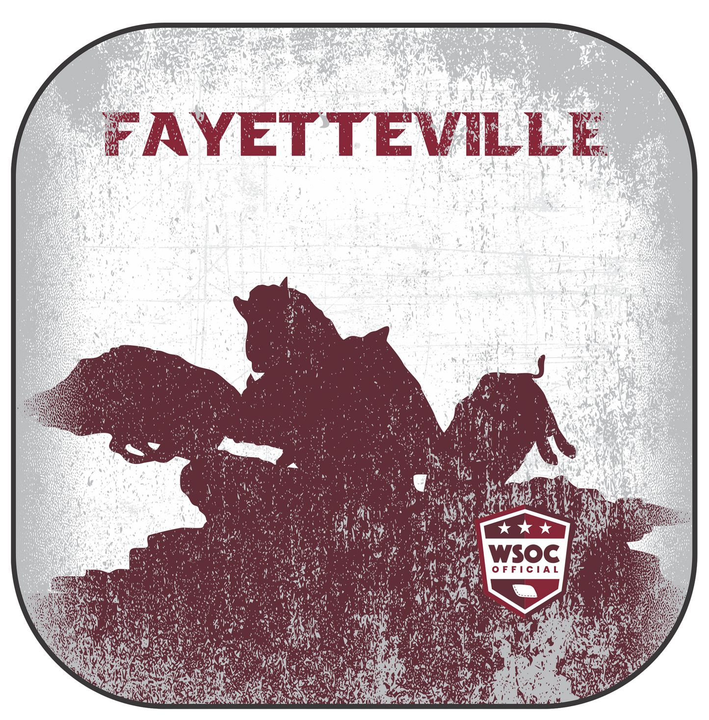 Arkansas Razorbacks Fayetteville - 6 Inch WSOC Official Pro Cornhole Bags