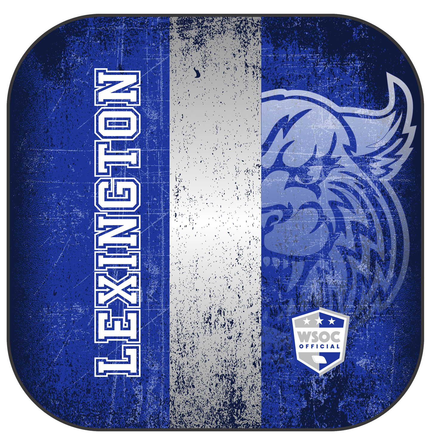 Kentucky Wildcats Lexington - 6 Inch WSOC Official Pro Cornhole Bags