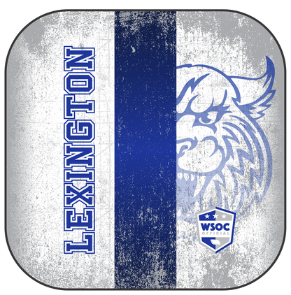 Kentucky Wildcats Lexington - 6 Inch WSOC Official Pro Cornhole Bags
