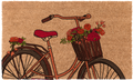 Spring Ride Bike