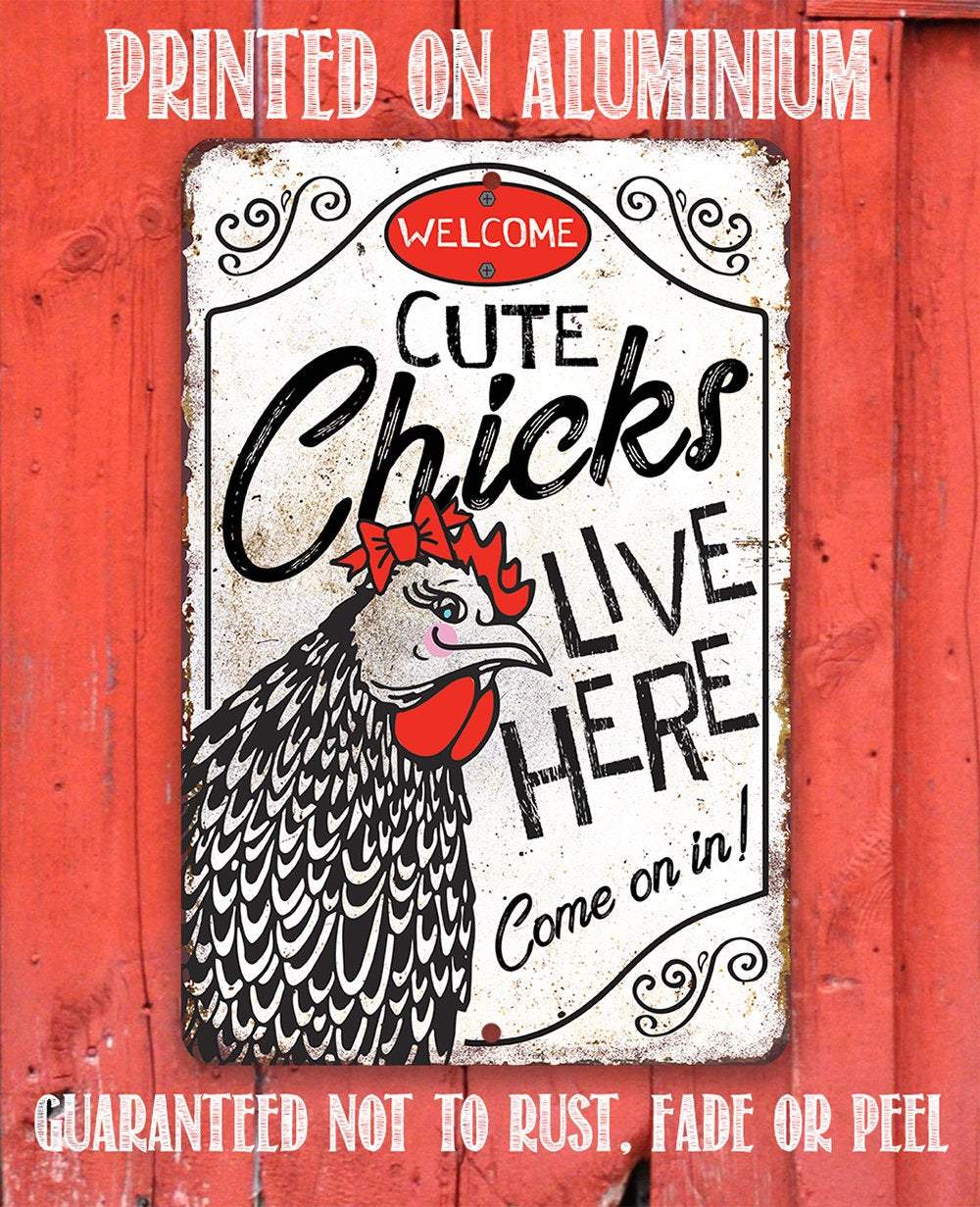 Cute Chicks Live Here - Metal Sign