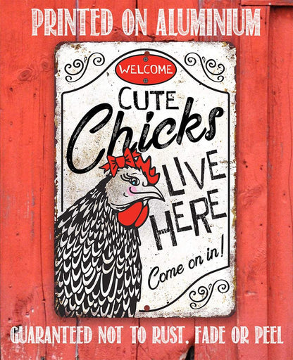 Cute Chicks Live Here - Metal Sign
