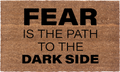 Fear Is The Path To The Dark Side