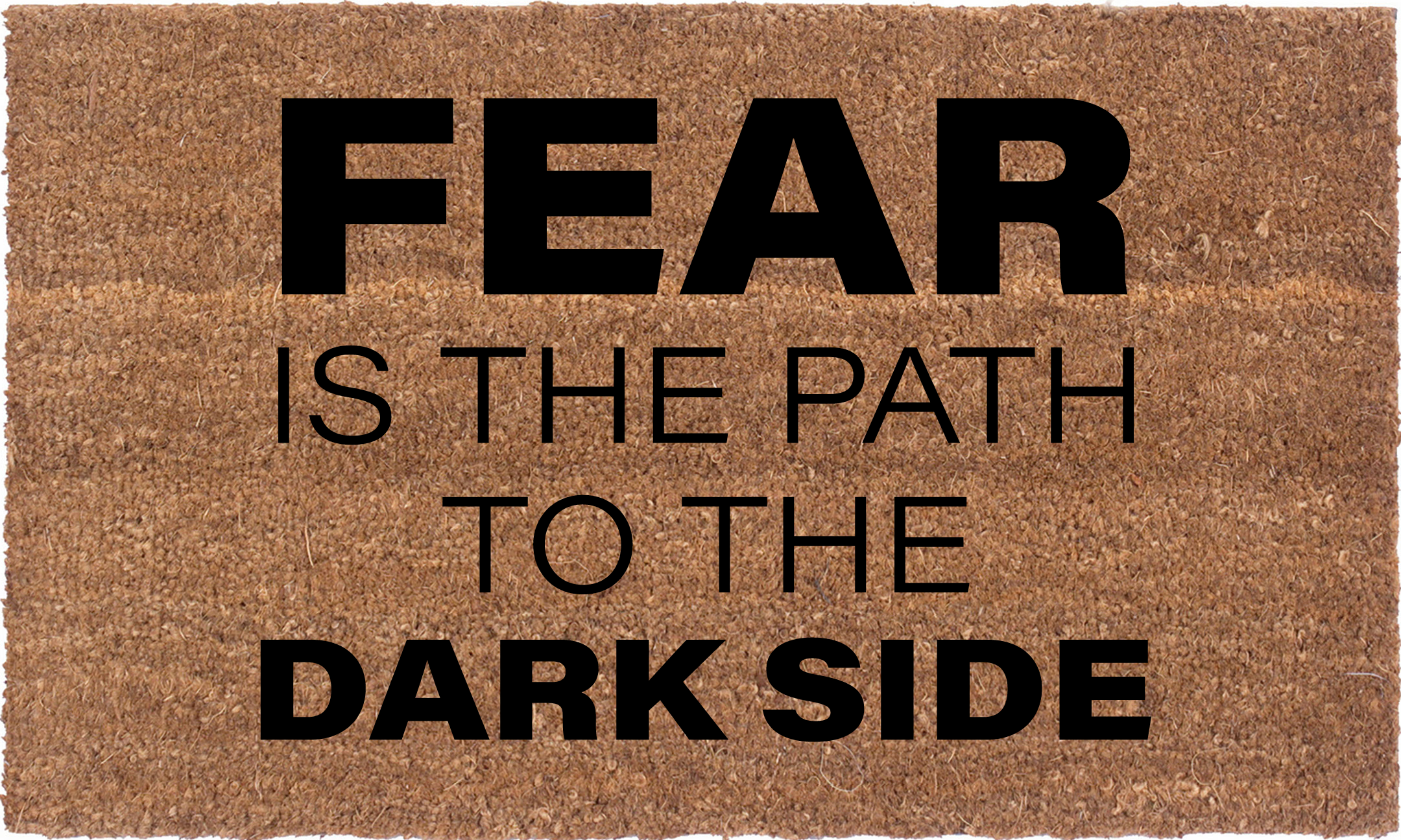 Fear Is The Path To The Dark Side