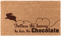 Follow the Bunny