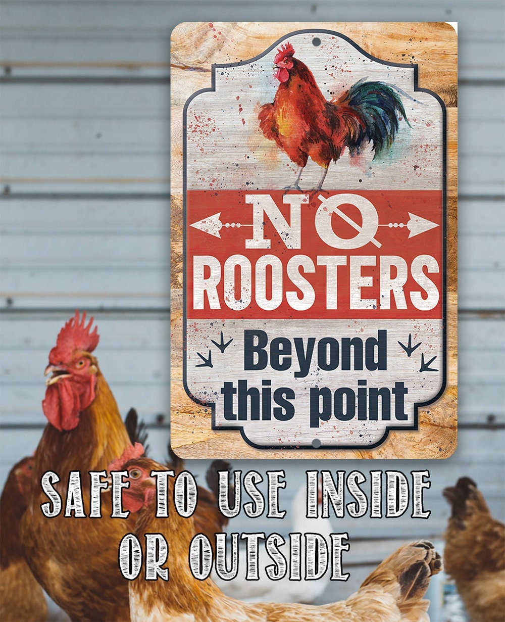 No Roosters Beyond This Point - Metal Sign