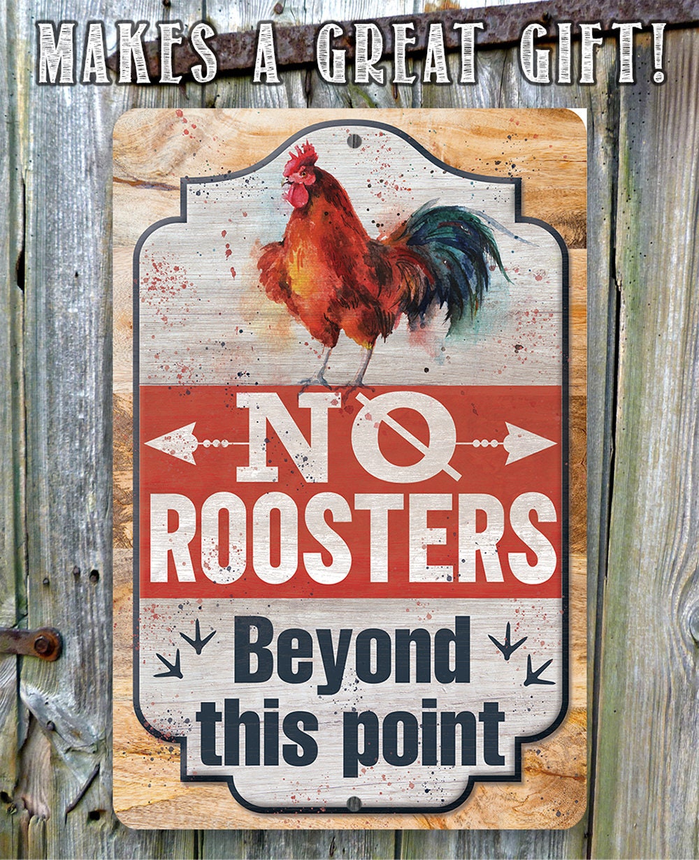No Roosters Beyond This Point - Metal Sign