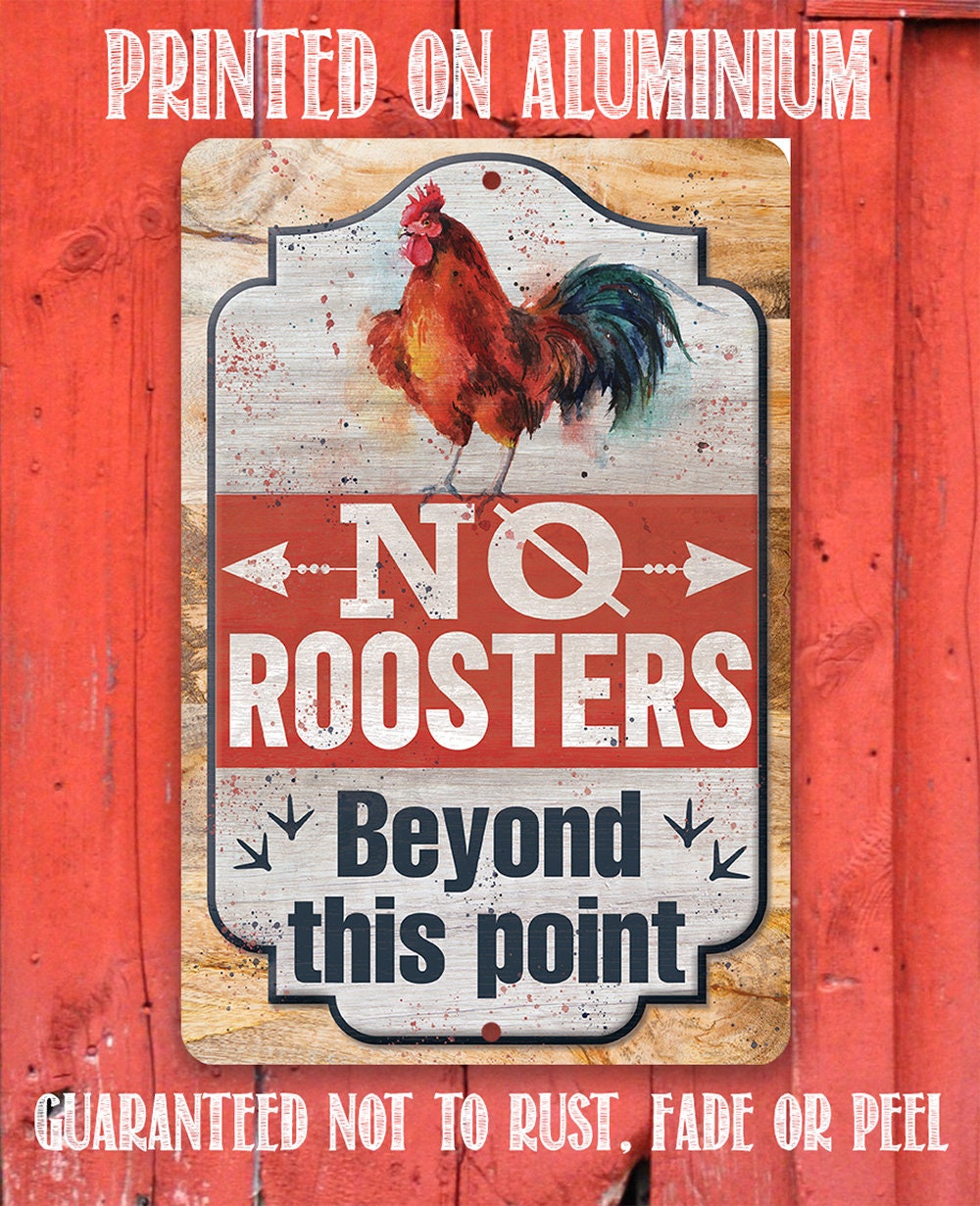 No Roosters Beyond This Point - Metal Sign